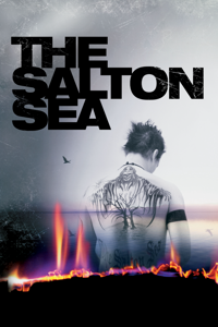 The Salton Sea