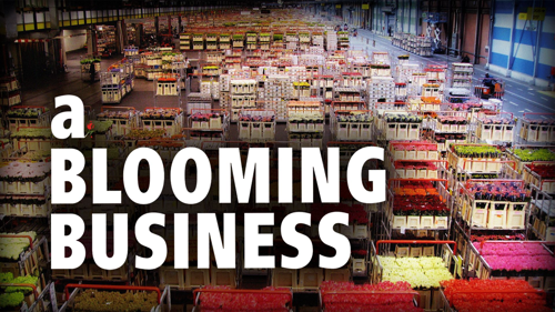 A Blooming Business