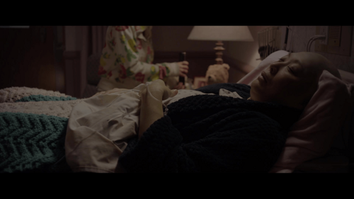 The Sisterhood of Night