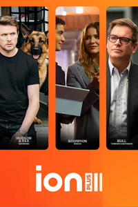 ION Plus