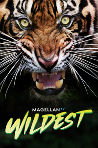 MagellanTV Wildest