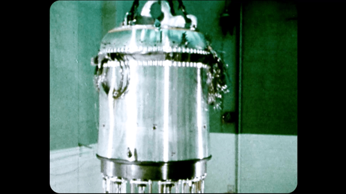 The Half-Life of Genius