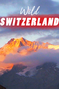 Wild Switzerland