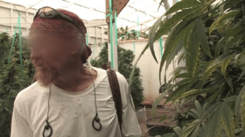 How Weed Won the West