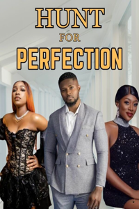 Hunt for Perfection