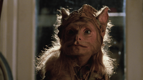 Upworld (aka a Gnome Named Gnorm)