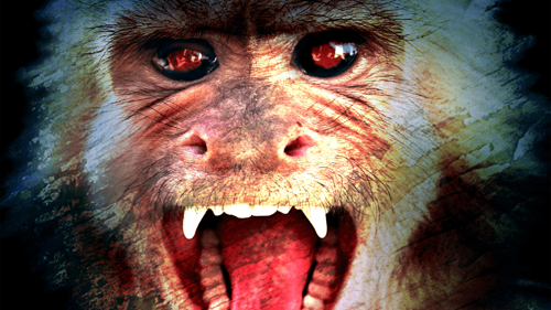 Blood Monkey