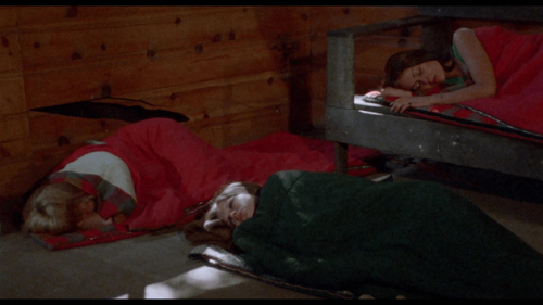 Trip with the Teacher