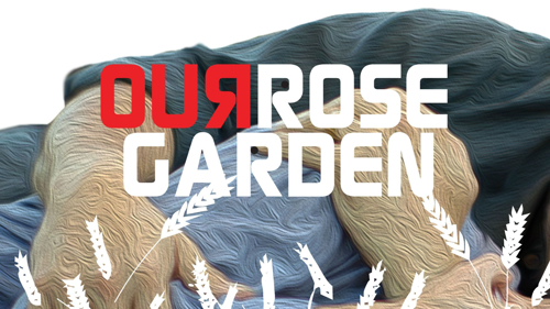 Our Rose Garden