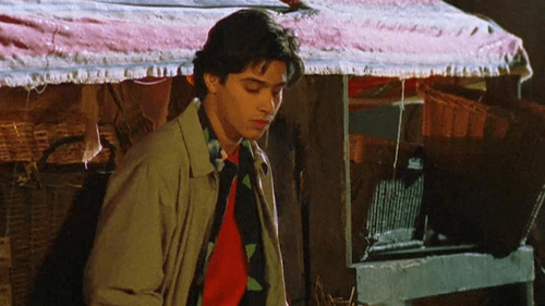 The Matthew Shepard Story