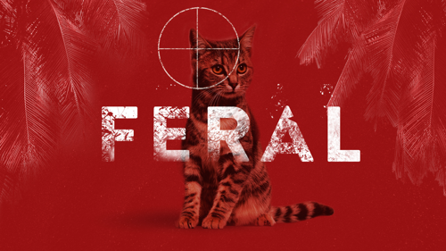 Feral