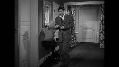 My Favorite Brunette