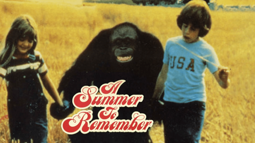 A Summer to Remember