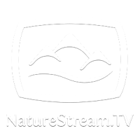 NatureStream.TV