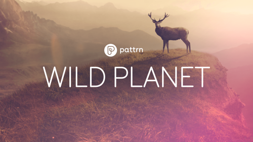 Pattrn: Wild Planet