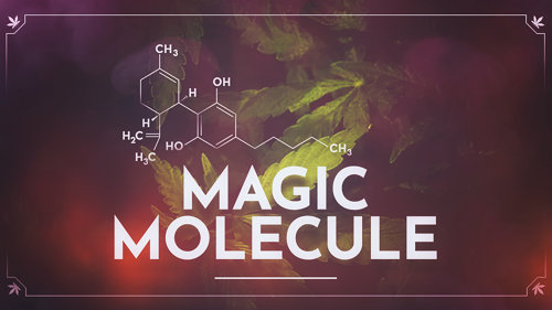 Magic Molecule