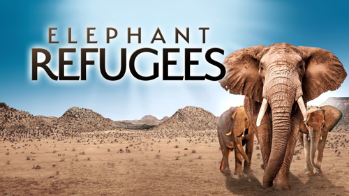 Elephant Refugees