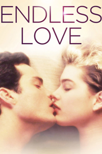Endlose Liebe (Endless Love)