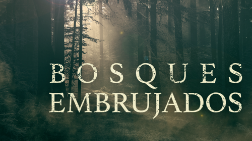 Bosques embrujados