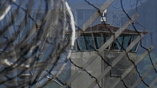 Freeway: Crack in the System