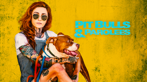 Pit Bulls & Parolees