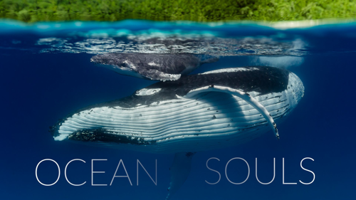 Ocean Souls