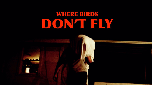 Where Birds Don't Fly