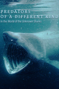 Predators Of A Different Kind - In The World Of The Unknown Sharks