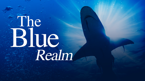 The Blue Realm