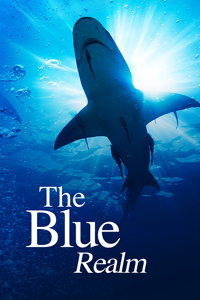 The Blue Realm