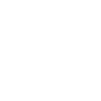 Car Chase