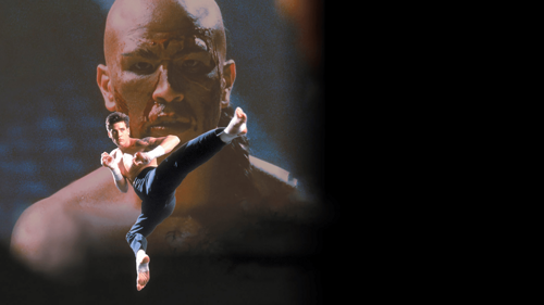 Kickboxer 4: The Aggressor