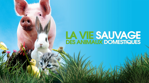 Vie Sauvage Des Animaux Domestiques (La)