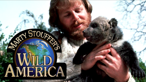 Wild America