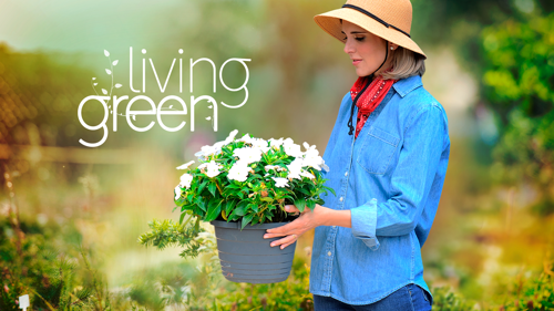 Living Green