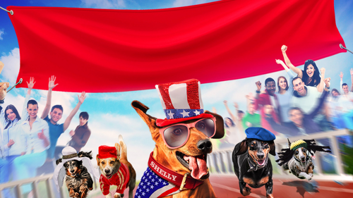 Wiener Dog Internationals