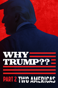 Why Trump? Two Americas