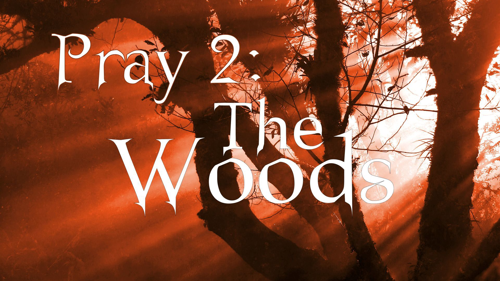 Pray 2-The Woods