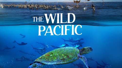 The Wild Pacific
