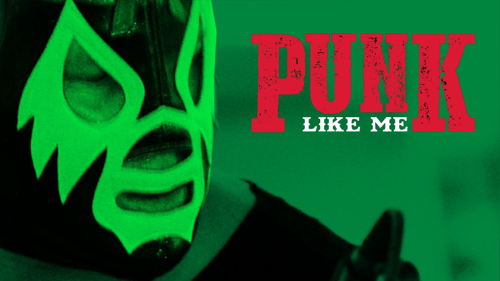 Punk Like Me