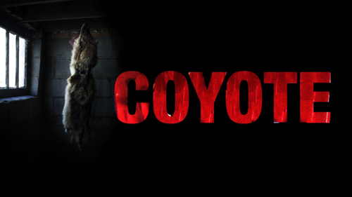 Coyote (2014)