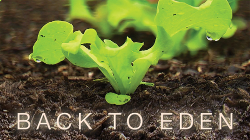 Back to Eden