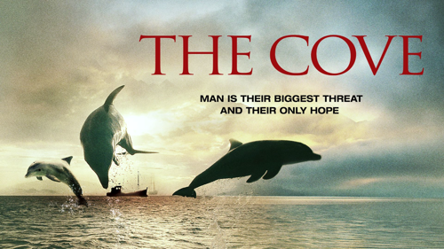 The Cove