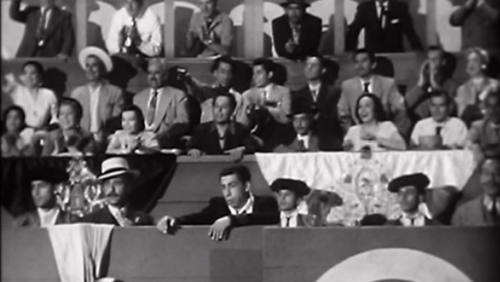 The Star and the Story