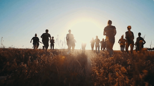 Donkeys and Elephants