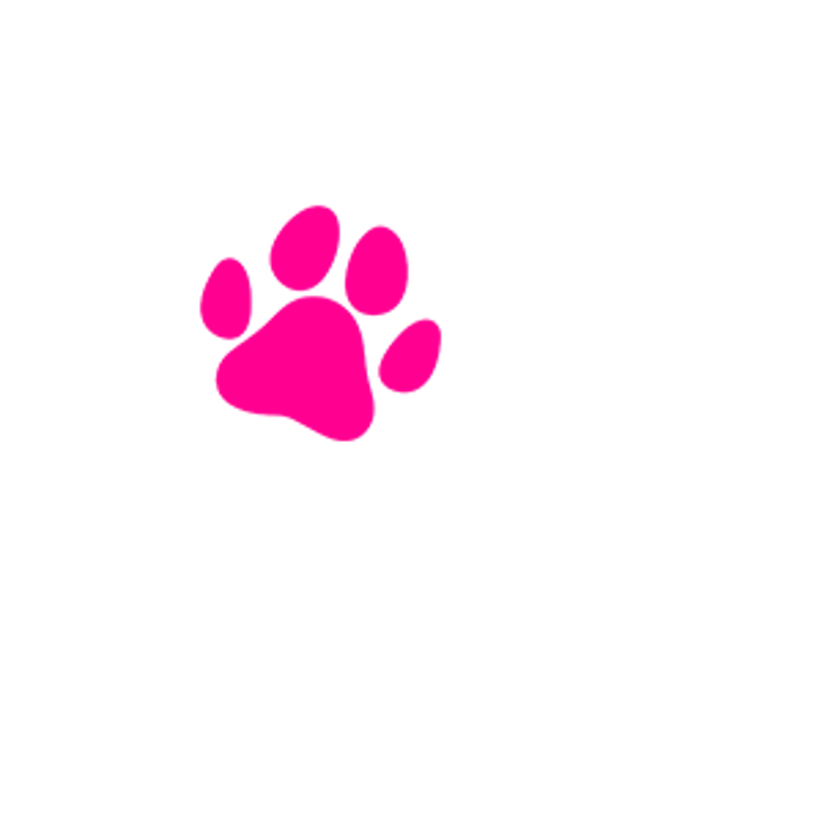 local-now-for-the-love-of-animals-local-now