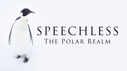 Speechless: The Polar Realm