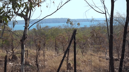 Surviving the Outback