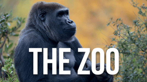 The Zoo