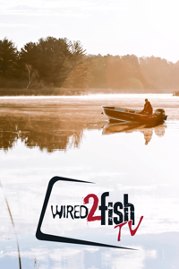 Wired2Fish